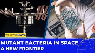 Mutant Bacteria in Space: A New Frontier