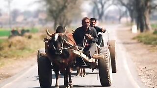 Cart riding
