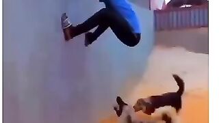 Entertainment and Finn