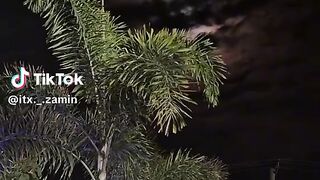 Awesome video
