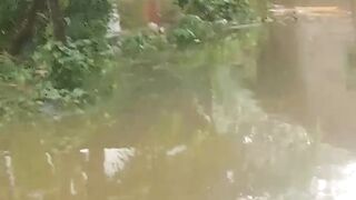 banjir