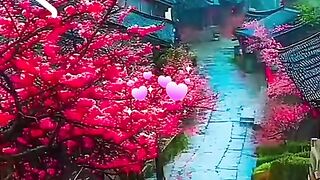 status,status video,status song,status whatsap,beast song,good song,video