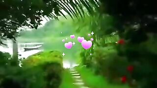 status,status video,status song,status whatsap,beast song,good song,video
