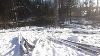 Woods