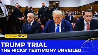 Trump Trial: The Hicks' Testimony Unveiled