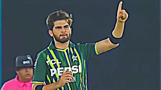 Who is the best bollwer