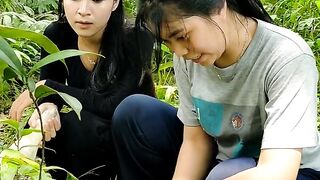 mengupas rebung di hutan