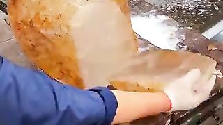 Today Best video on internet ????