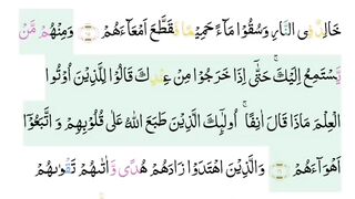 Surah Muhammad telawat part 6