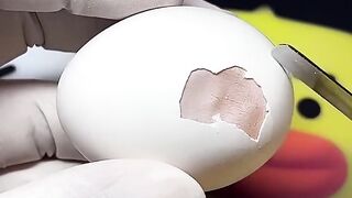 Egg cover off