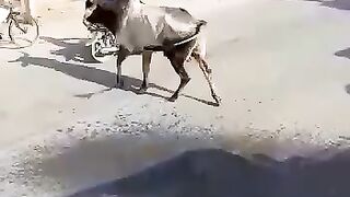 Nice Video