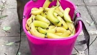 Monkey and banana.