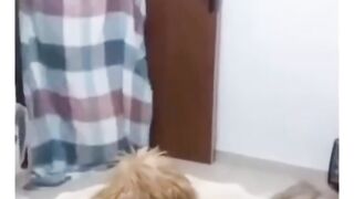 Funny video| Fun with dog | Comedy video