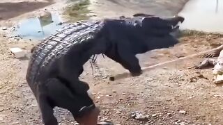 Why women live longer