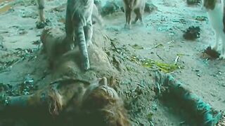 HDR786ISB-Action Movie