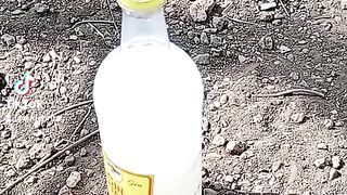 Palm wine