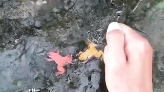 plastic toys?