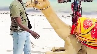 Funny video
