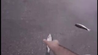 Аномалия Рыбный дождь СТАЛКЕР