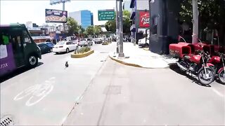 That cyclist got a new dog!