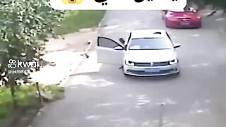 اكلها الاسد