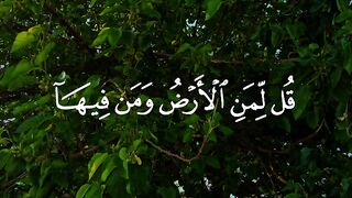 اكتب شئ تؤجر عليه #قرآن #قران_كريم #اكتب_شي_تؤجر_عليه