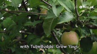 Grow your skills