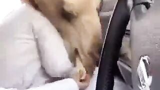 Funy view????