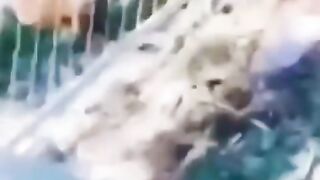 إضحك حتى الموت