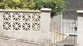 typical magpie reaction to warn other birds