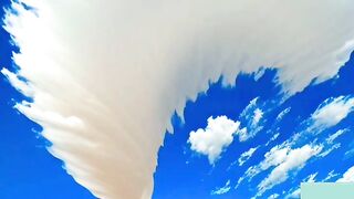Nature of beauty