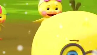 cit cit cuit cuit duck dans funny vide
