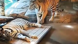Their side of the bed