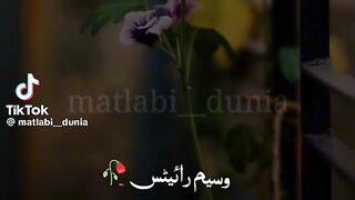 Hazrat Ali quotes in urdu