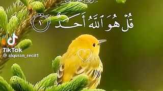 Surah Al ikhlas