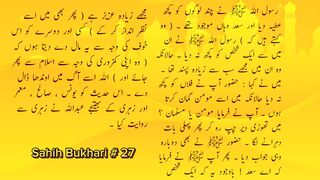 Sahih Bukhari # 27