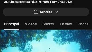 Reto+++++suscríbete