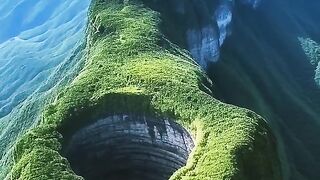 congo rain forest