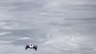 What a catch  hahaha