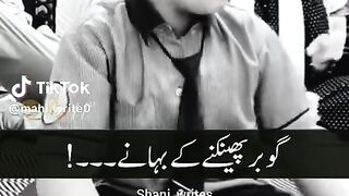 Funny video