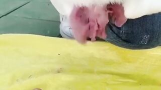Rare Footage of Animal Birth