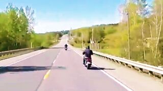 moto race trip