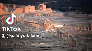 Palmyra 3