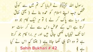 Sahih Bukhari # 42