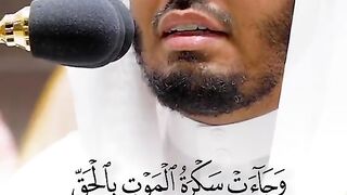 سبحان الله وبحمده سبحان الله العظيم