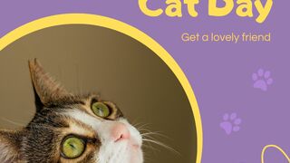 Funny cat's
