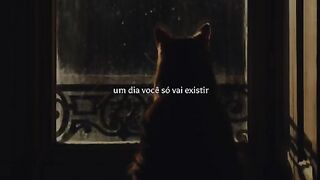 Motivação
