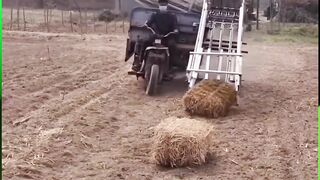 Strong Man Splitting Wood #Strong
