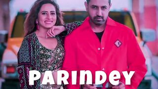 PARINDEY) new let's song Punjabi remix music 2024