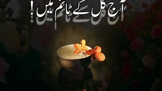 محبت دی شاعر و شاعری دی ویڈیو